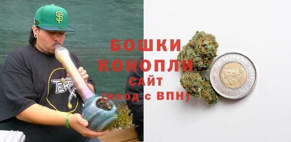 PSILOCYBIN Горнозаводск