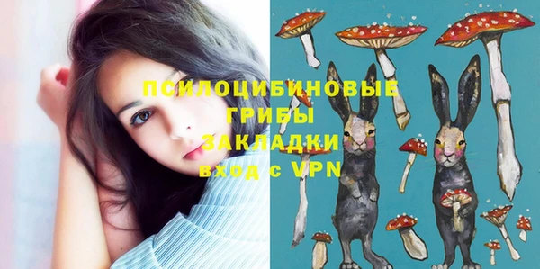 МДМА Горняк