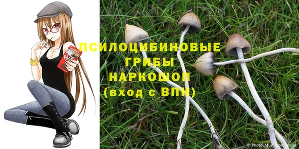 круглые Горно-Алтайск