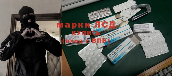 PSILOCYBIN Горнозаводск