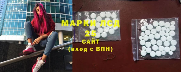 PSILOCYBIN Горнозаводск