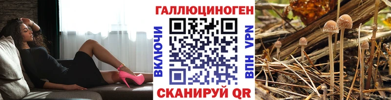 Купить где  Лагань  Галлюциногенные грибы MAGIC MUSHROOMS 
